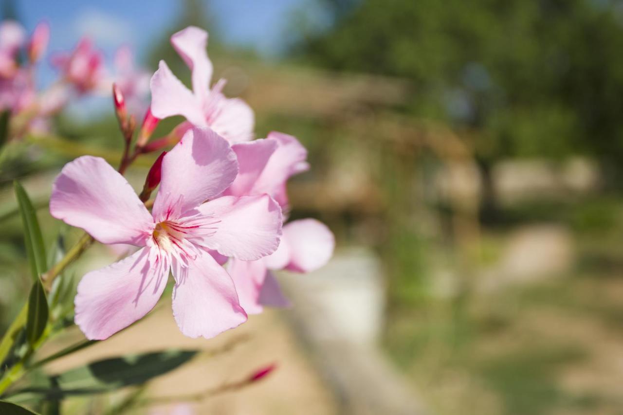 Las Mariposas Sant Antoni de Portmany Dış mekan fotoğraf
